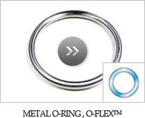 METAL C-RING, C-FLEXTM TM